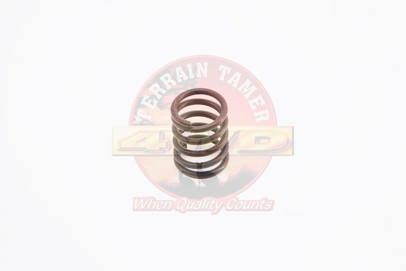 SPRING REAR BRAKE SHOE HOLD DOWN 2
