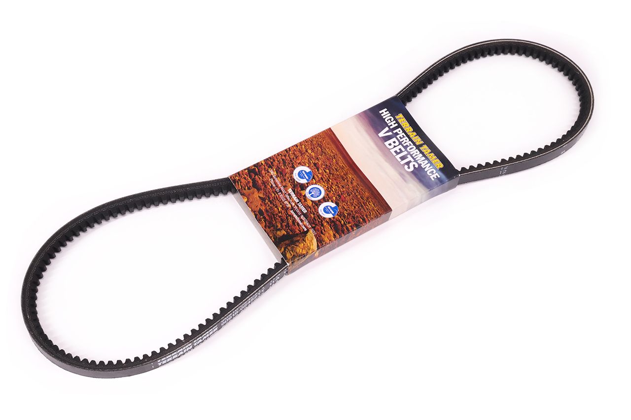 BELT FAN T/T MATCH FREE