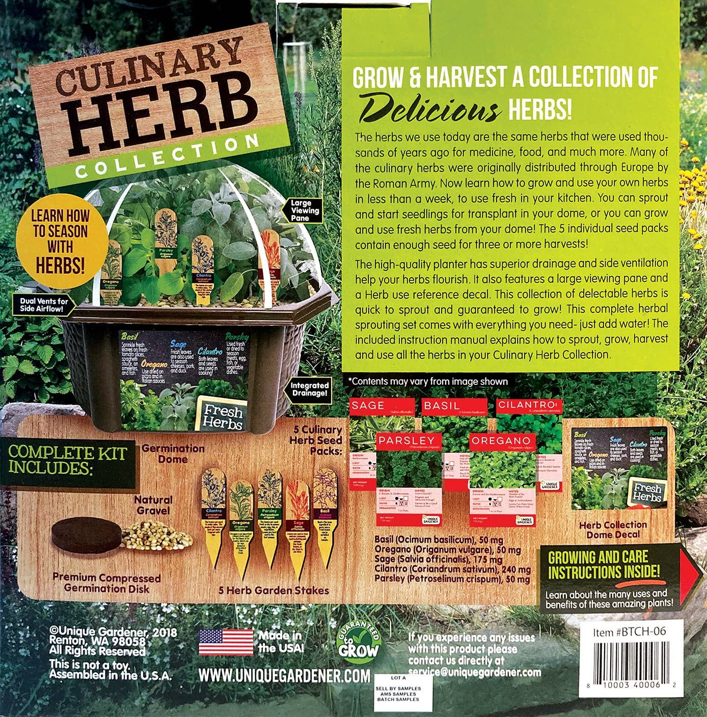 Culinary Herb Collection Seed Kit Terrarium