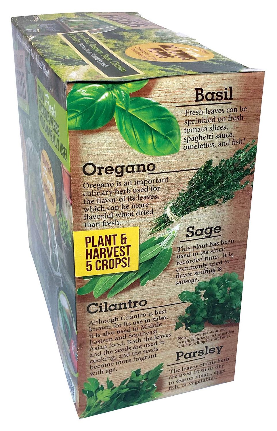 Culinary Herb Collection Seed Kit Terrarium
