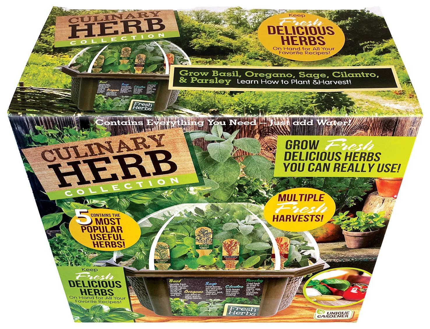 Culinary Herb Collection Seed Kit Terrarium