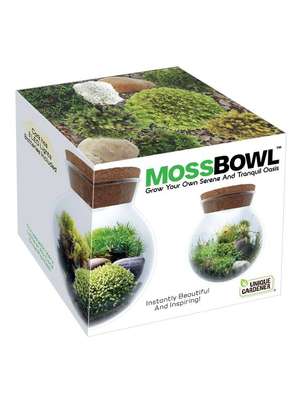 MossBowl Glass Terrarium with Live Moss and LED Light