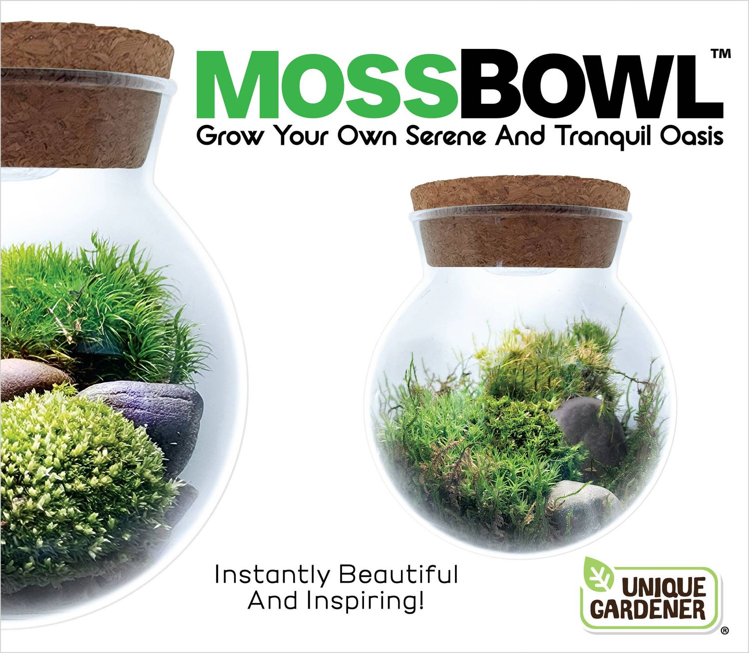MossBowl Glass Terrarium with Live Moss and LED Light