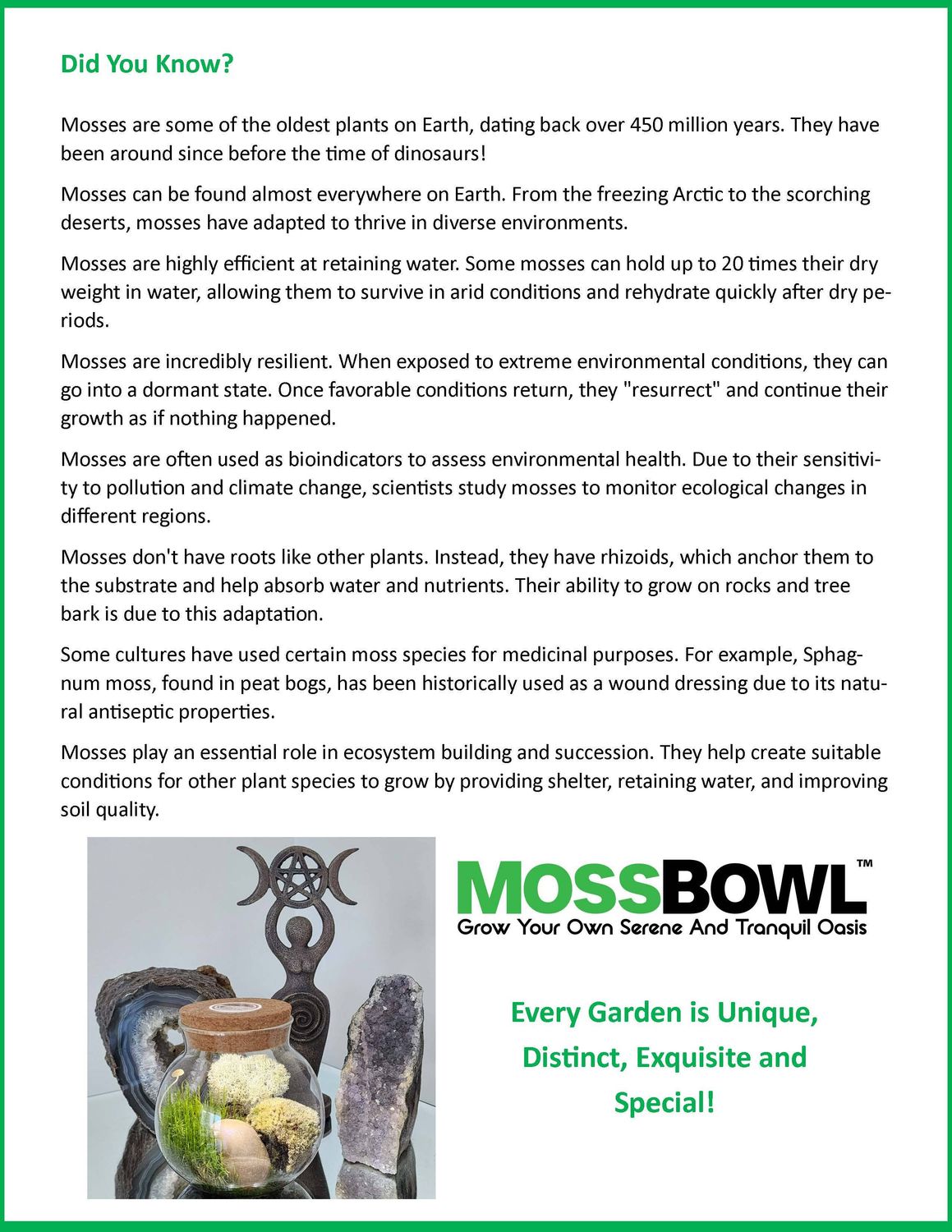MossBowl Glass Terrarium with Live Moss and LED Light