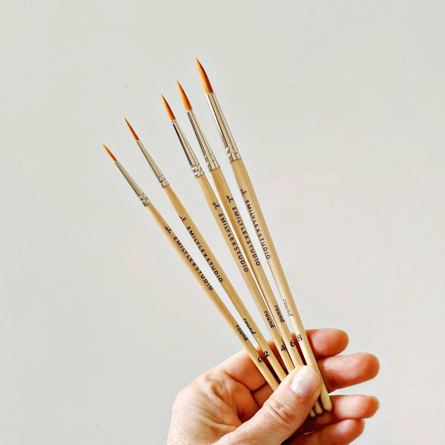 Watercolor paintbrush set of five wood brushes