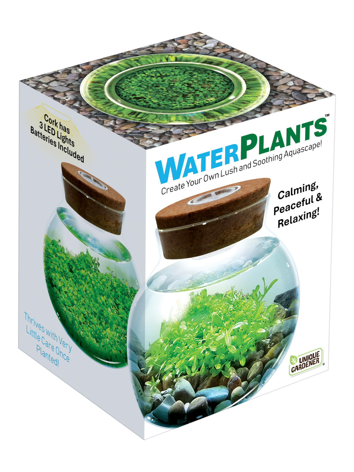 WaterPlants Aquatic Seed Kit Glass Terrarium with LED Light