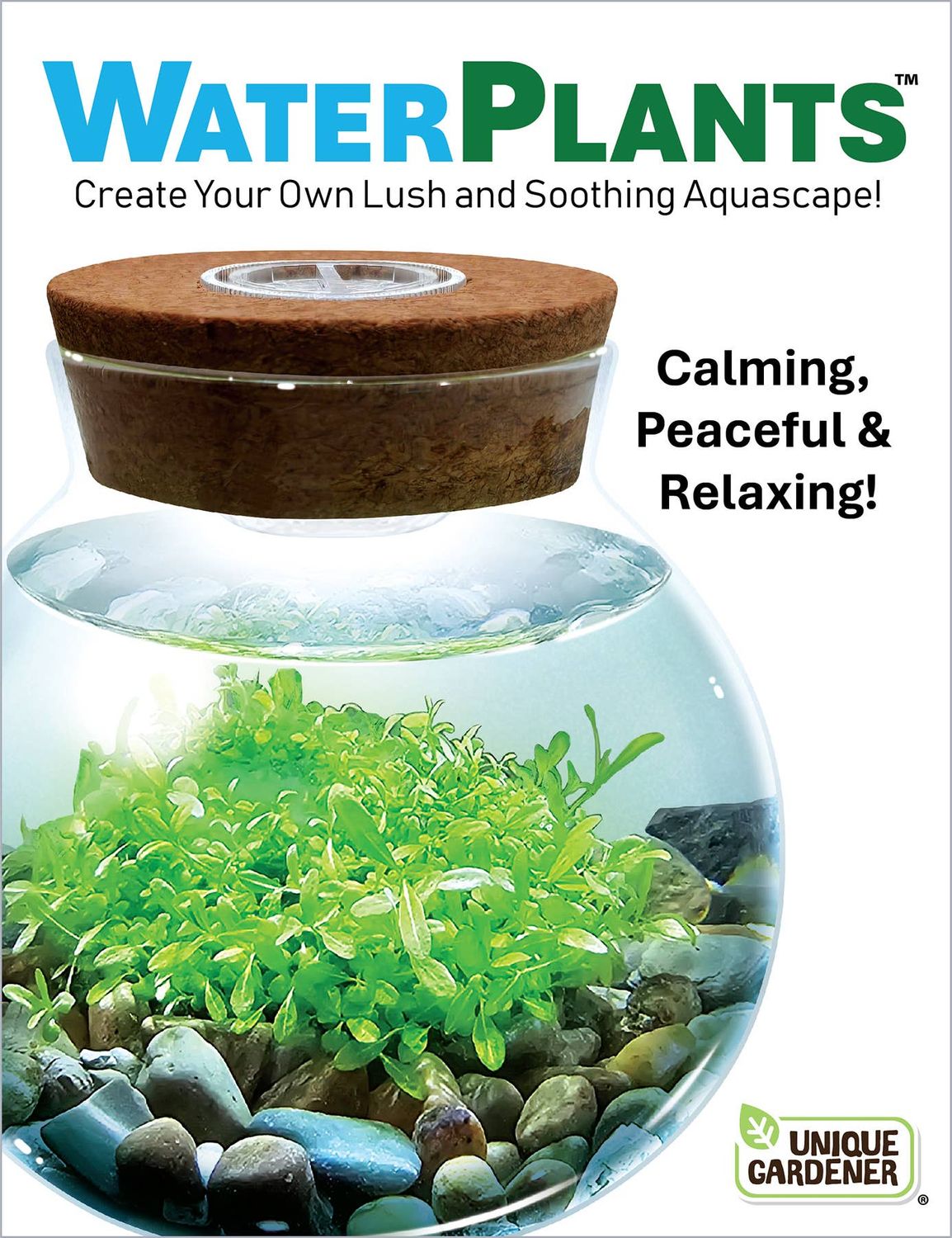 WaterPlants Aquatic Seed Kit Glass Terrarium with LED Light