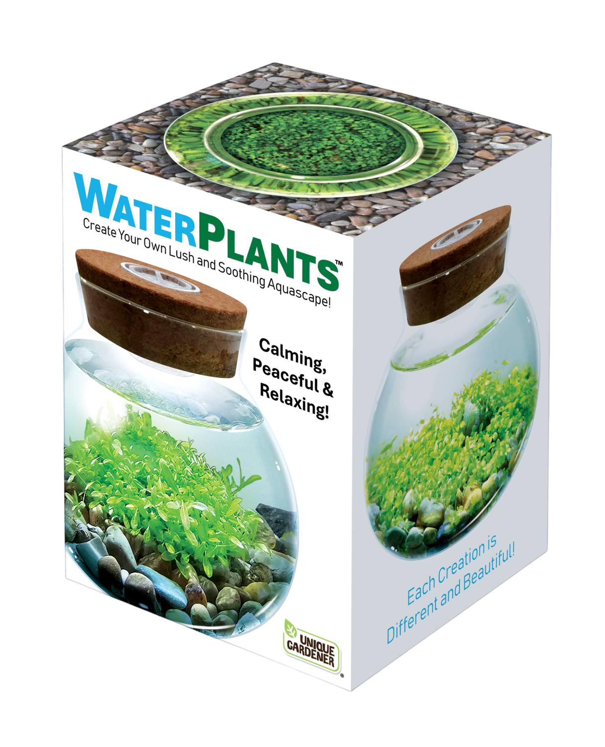WaterPlants Aquatic Seed Kit Glass Terrarium with LED Light