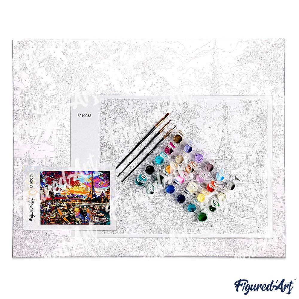 Paint by Numbers rolled - Moose and aurora borealis