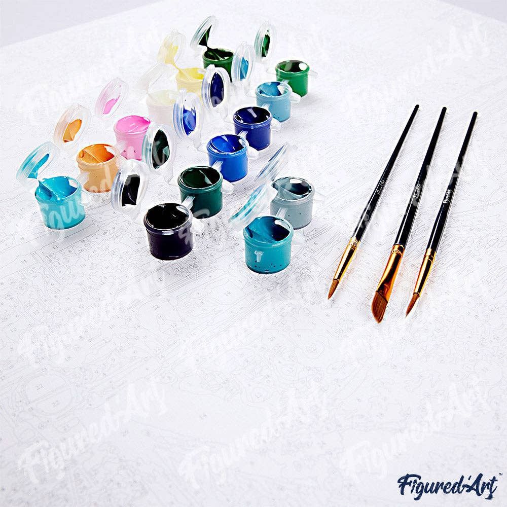Paint by Numbers rolled - Moose and aurora borealis