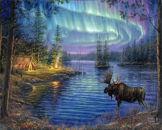 Paint by Numbers rolled - Moose and aurora borealis
