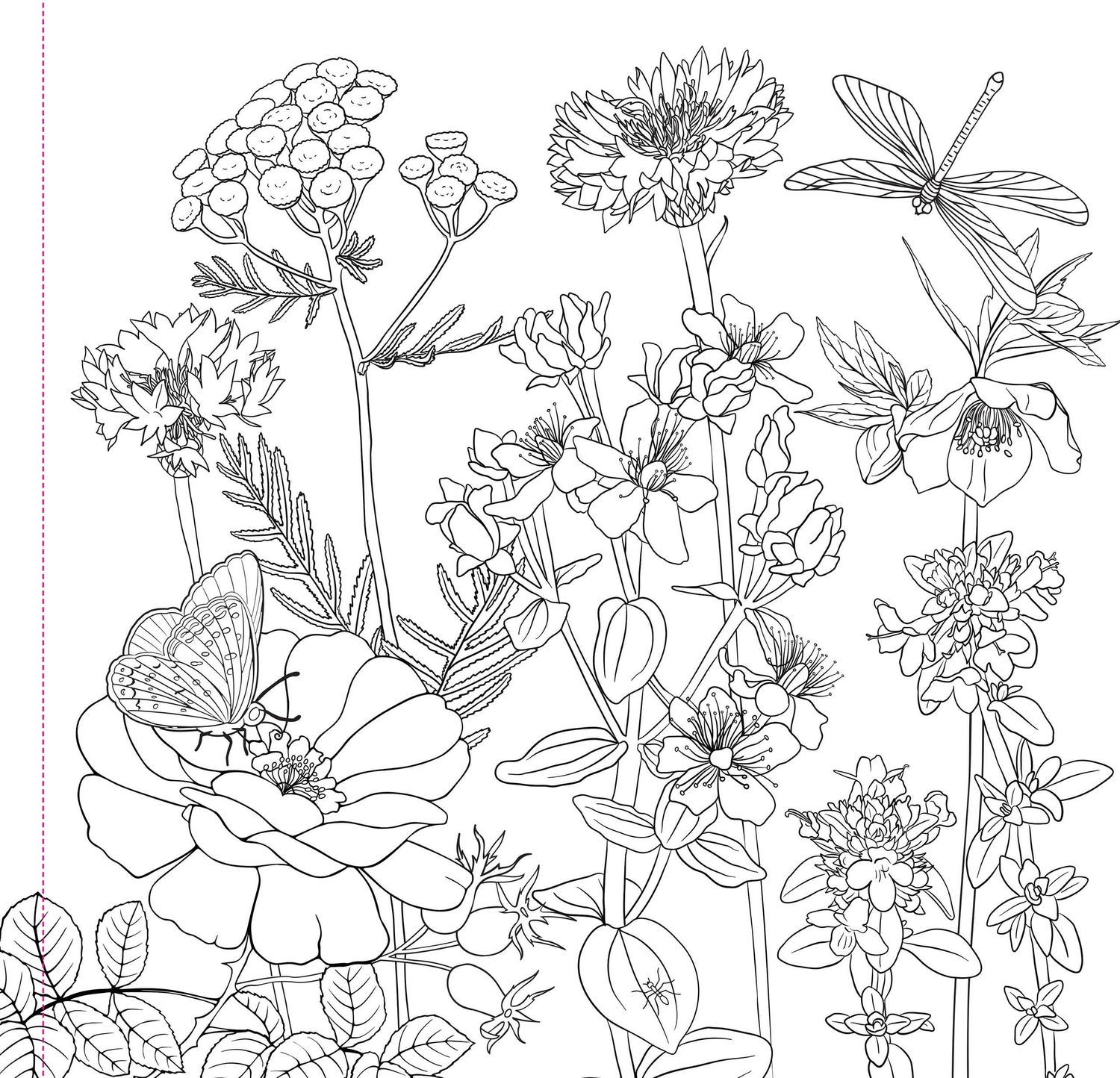 Wildflowers Adult Coloring Book,Wildflowers Adult Coloring Book