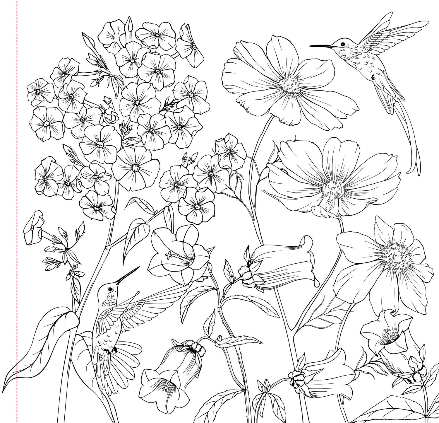 Wildflowers Adult Coloring Book,Wildflowers Adult Coloring Book