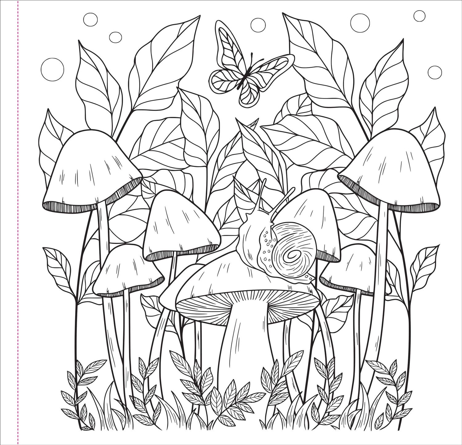 Mushrooms Adult Coloring Book,Mushrooms Adult Coloring Book