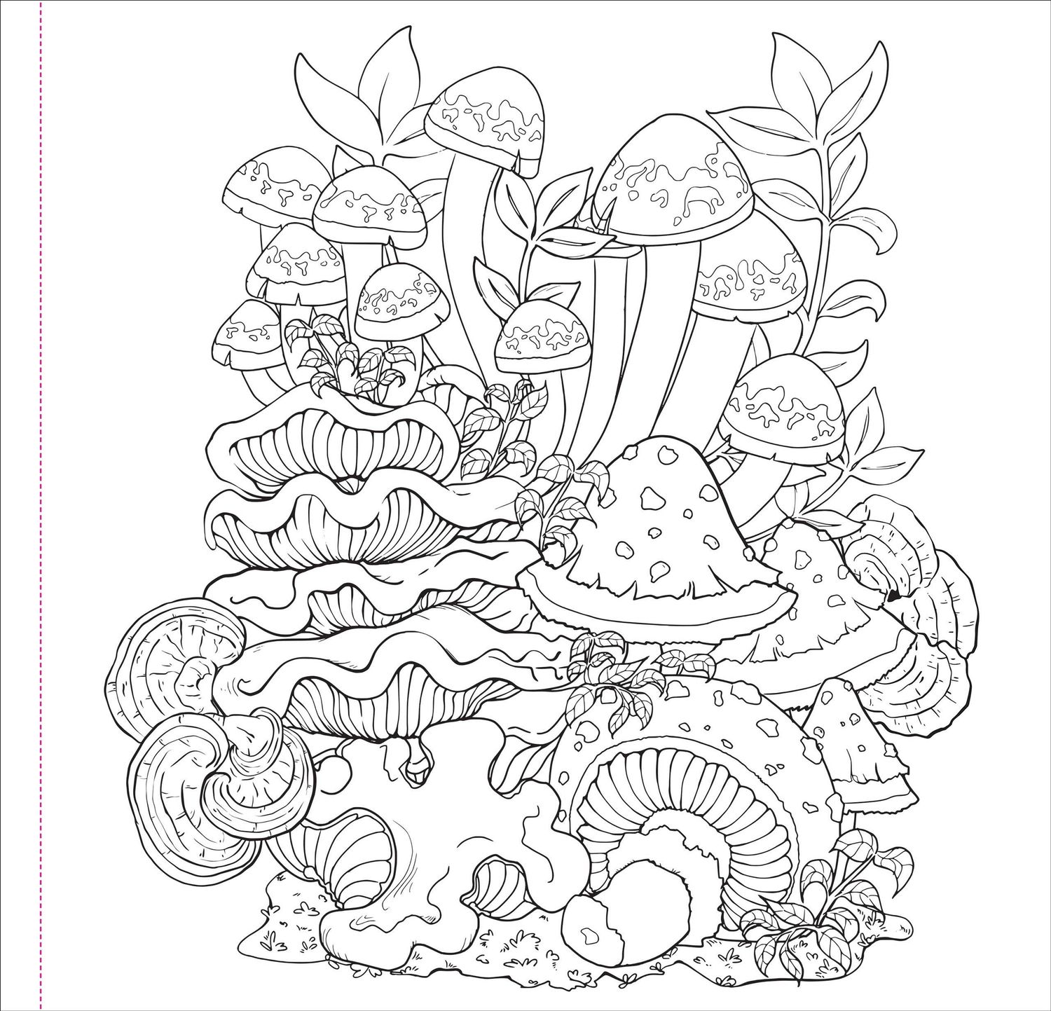 Mushrooms Adult Coloring Book,Mushrooms Adult Coloring Book