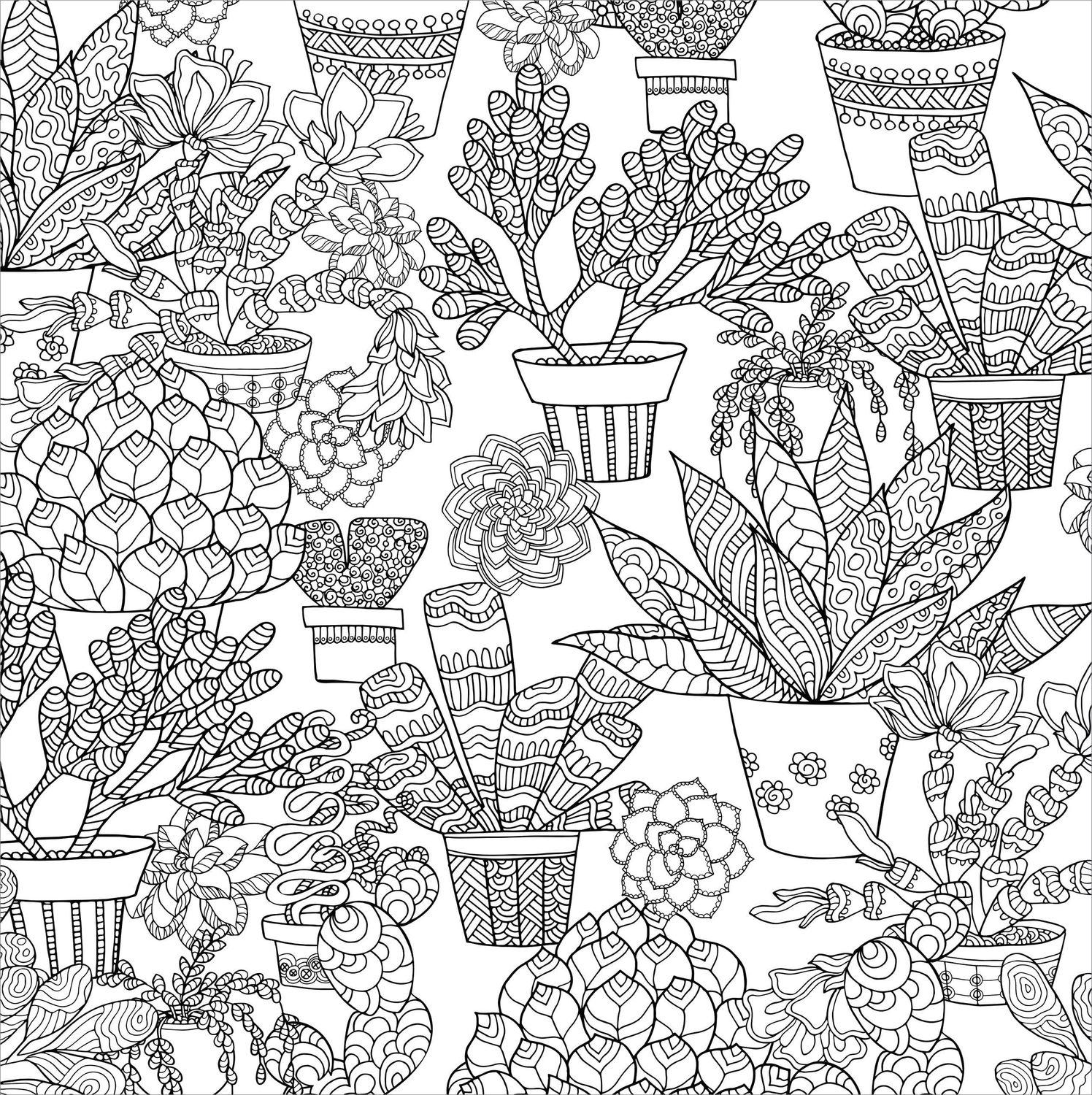 Succulents Artist's Coloring Book,Succulents Artist's Coloring Book