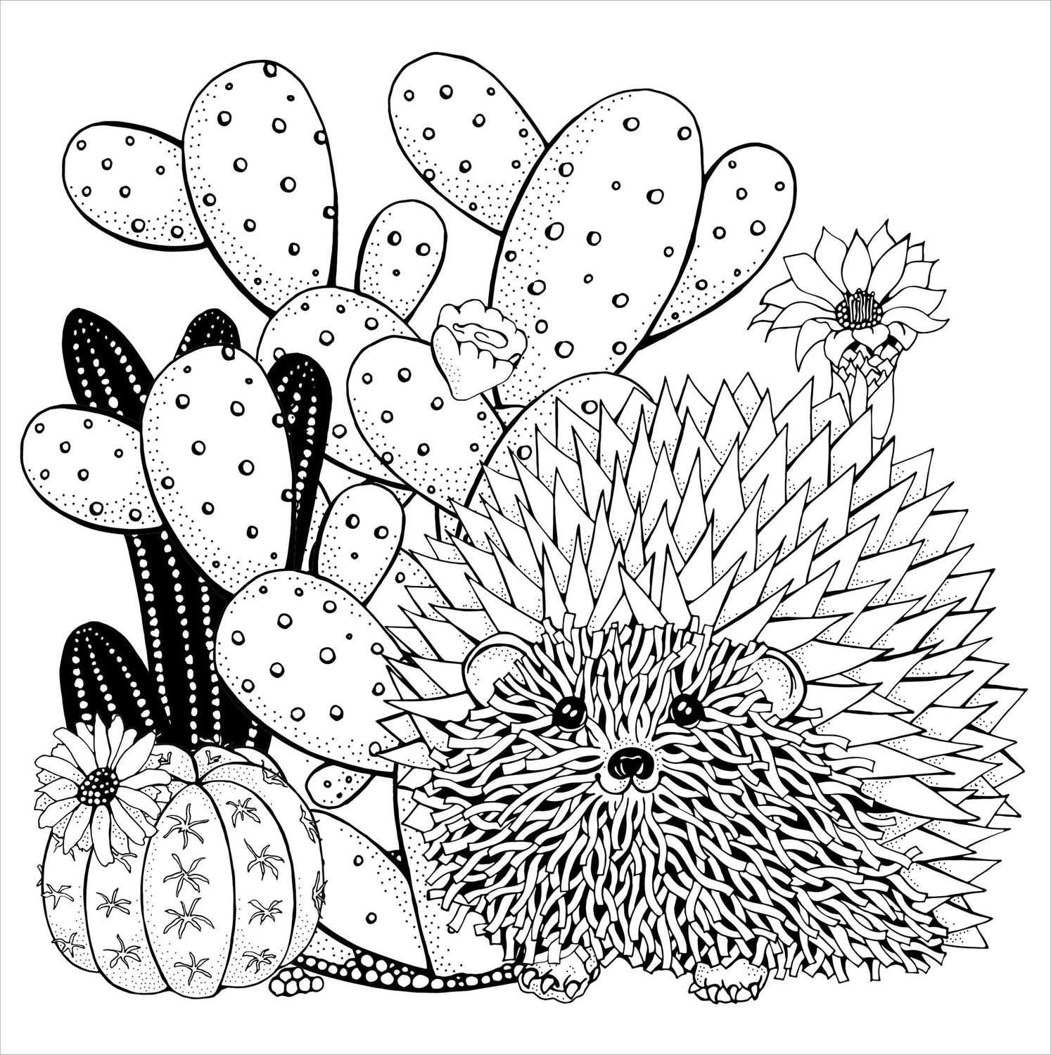 Succulents Artist's Coloring Book,Succulents Artist's Coloring Book