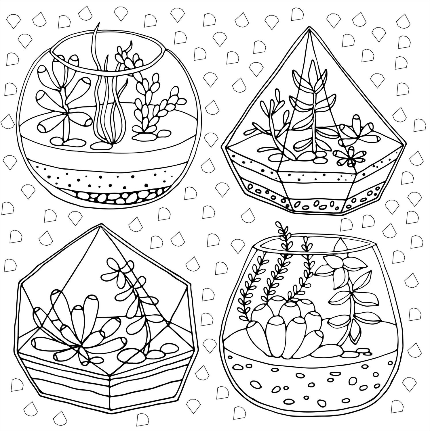 Succulents Artist's Coloring Book,Succulents Artist's Coloring Book