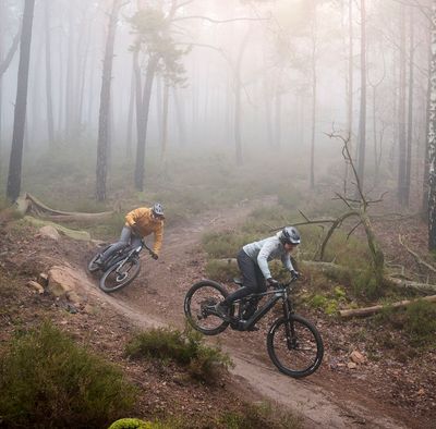 ELECTRIC BIKES