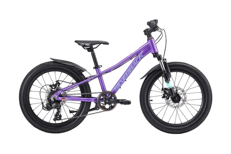 25 SPYKE 20" DISC