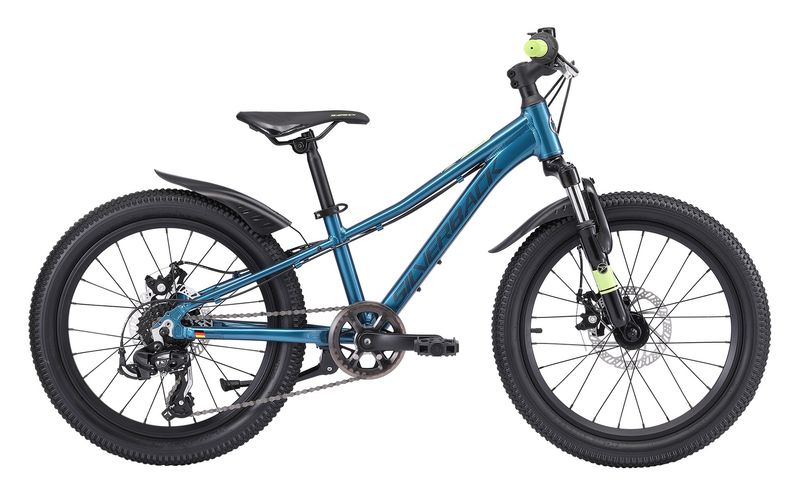 25 SPYKE 20" DISC