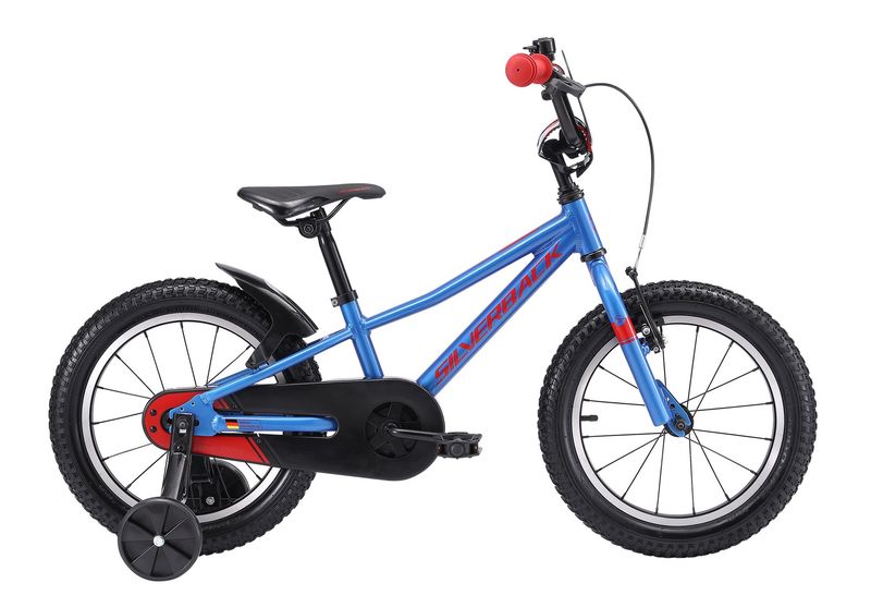 25 SKID 16"
