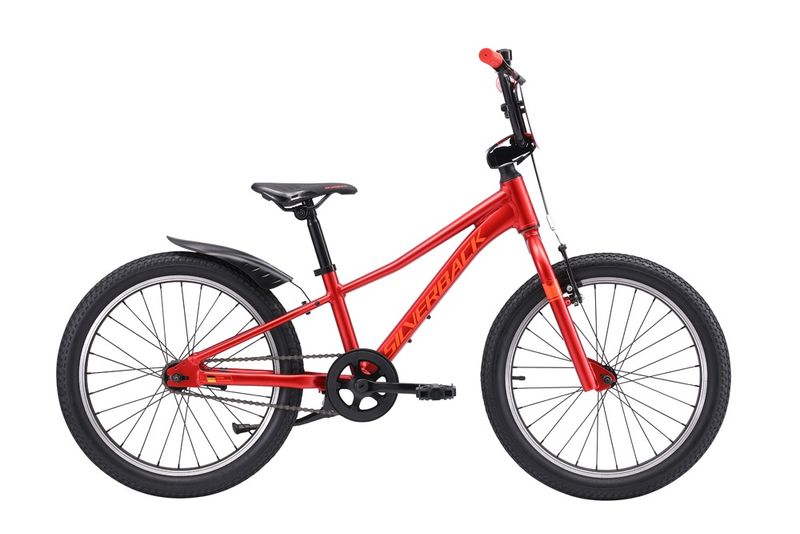 25 SKID 20"