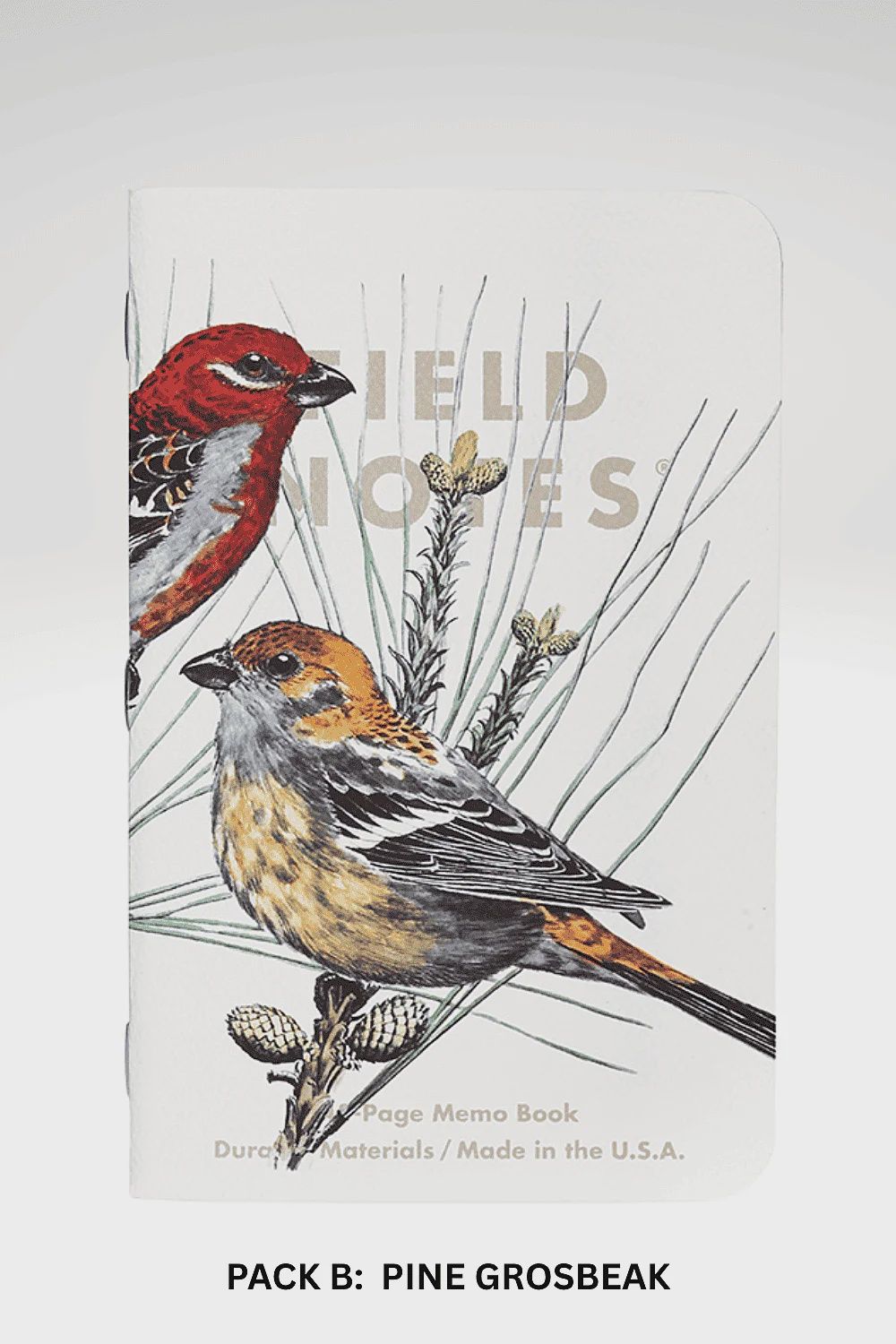 Birds and Trees of North America  Memo Books