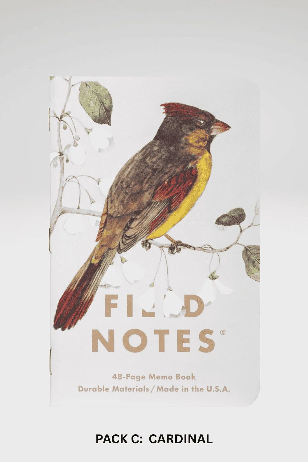 Birds and Trees of North America  Memo Books