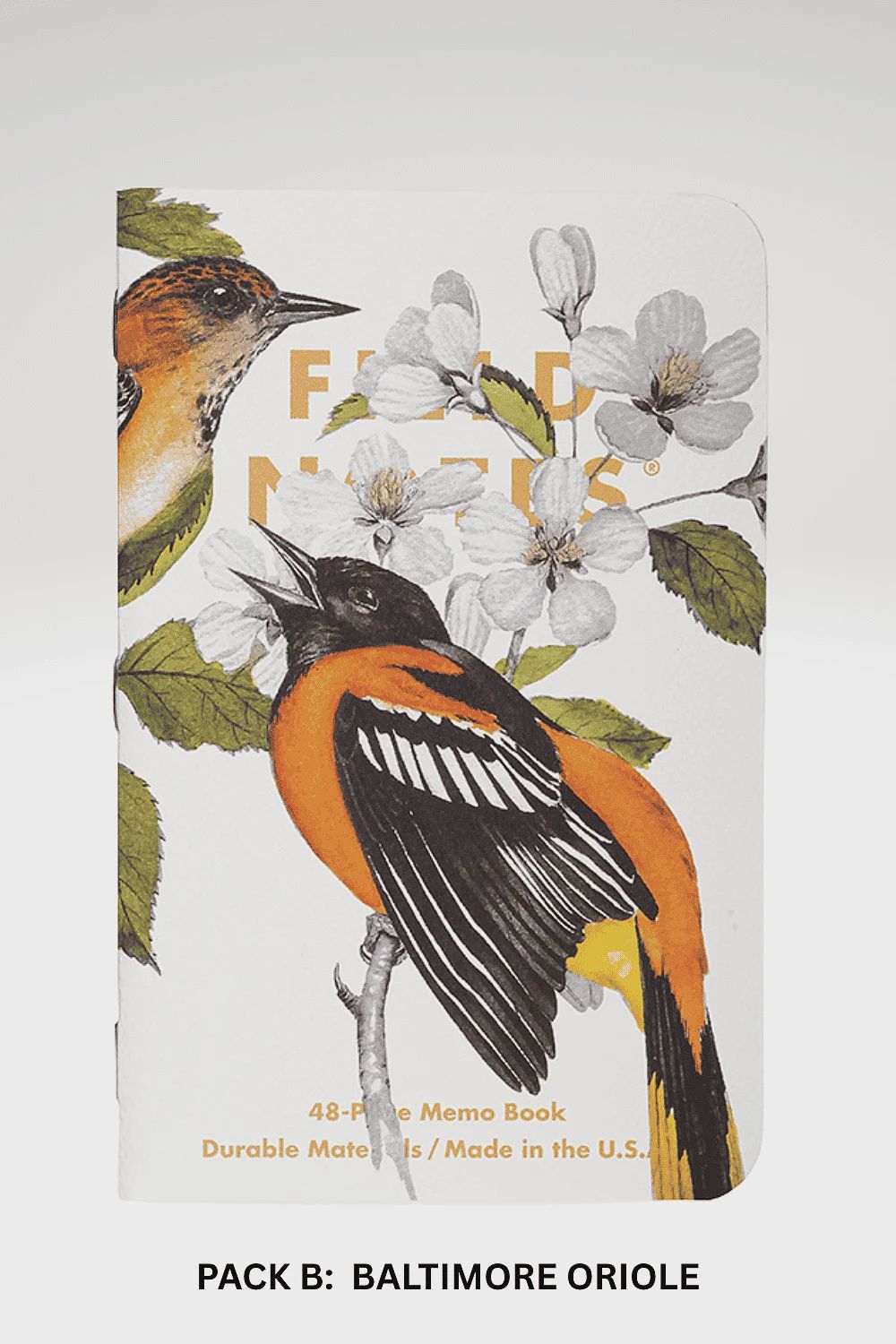 Birds and Trees of North America  Memo Books