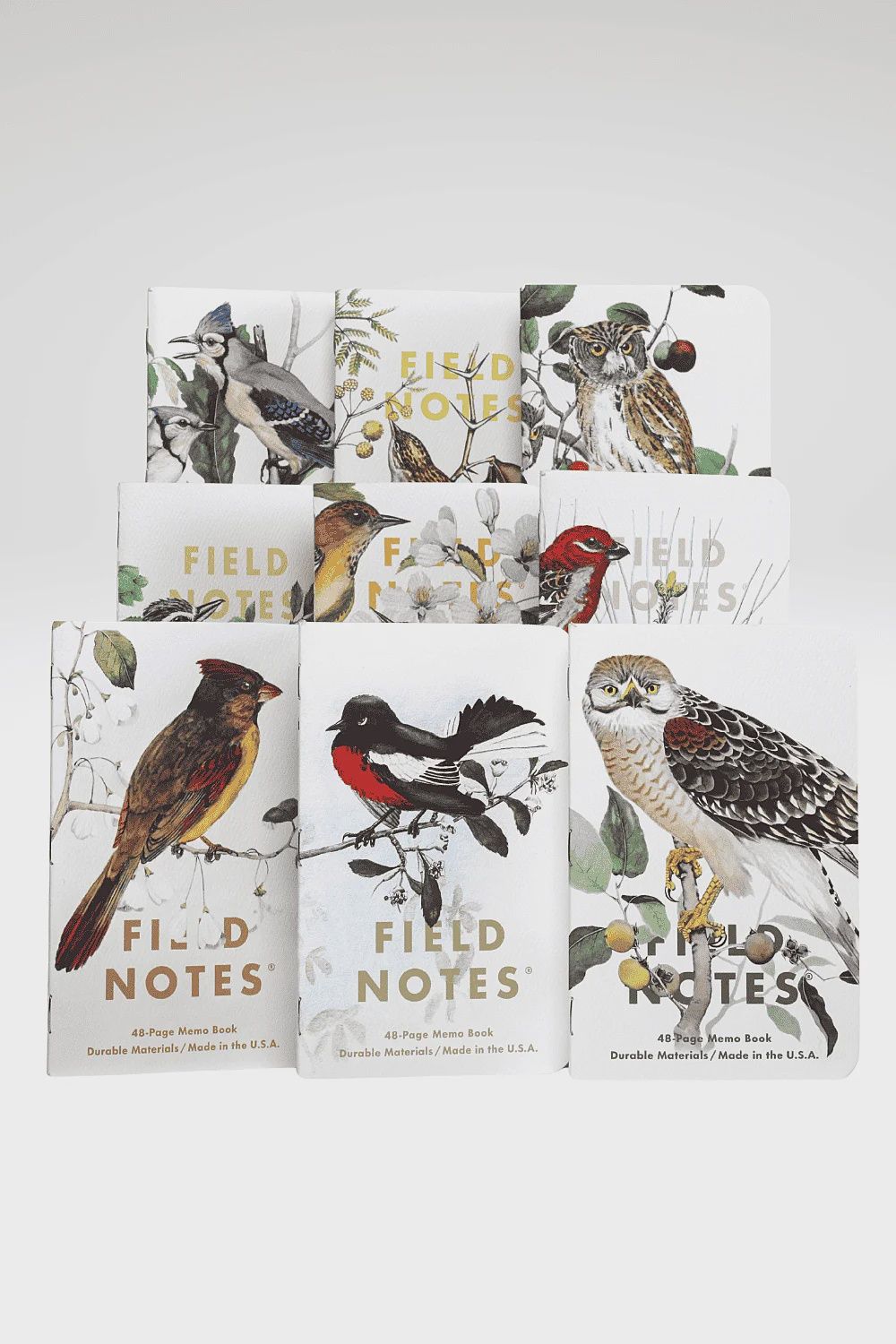 Birds and Trees of North America  Memo Books