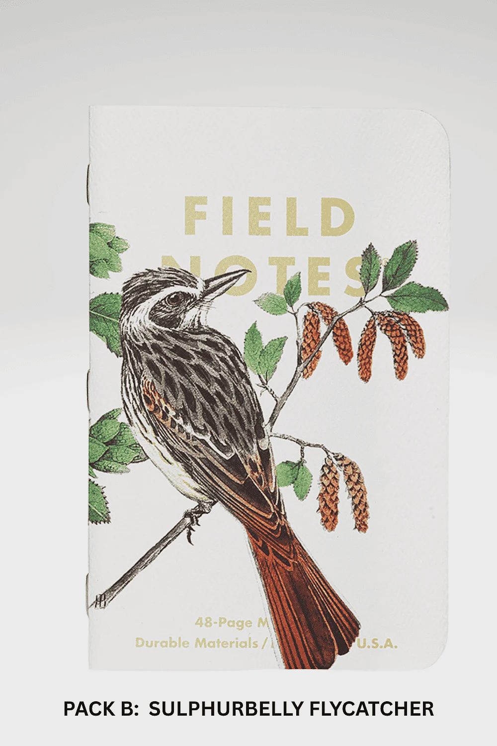 Birds and Trees of North America  Memo Books