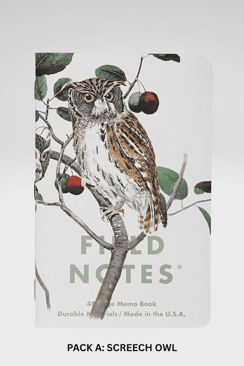 Birds and Trees of North America  Memo Books