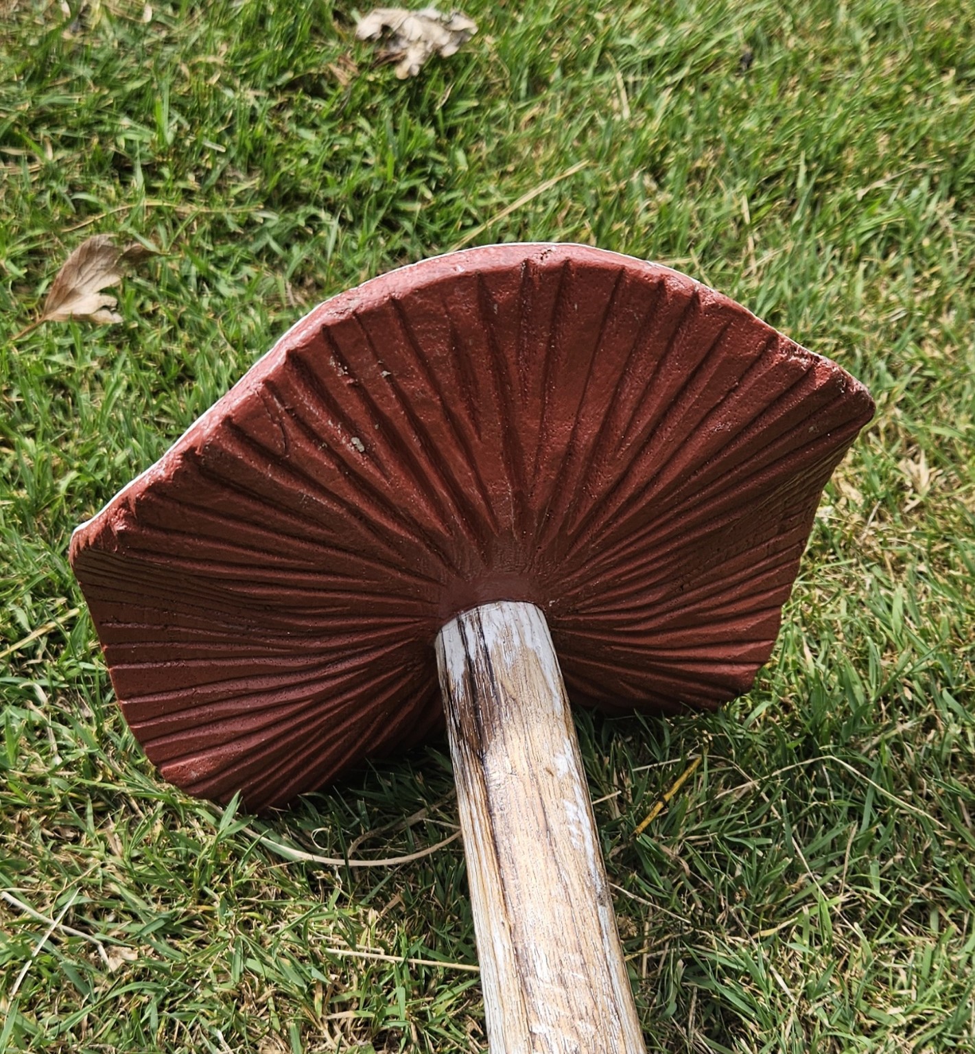 Painted Wooden flat topped Mushrooms for Garden
