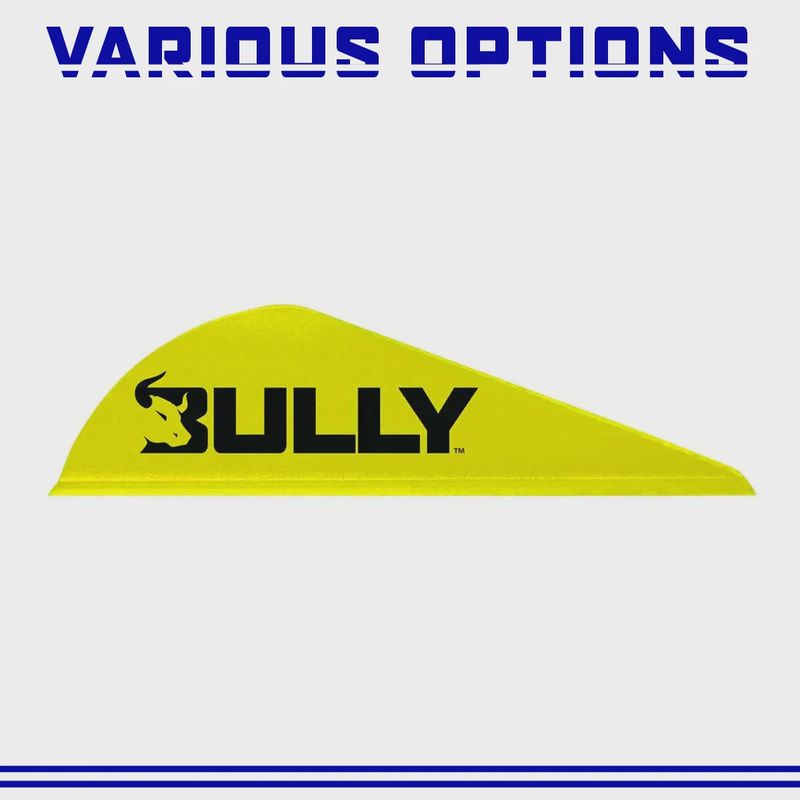 Easton 2" Bully Vane by Bohning (all Colours)