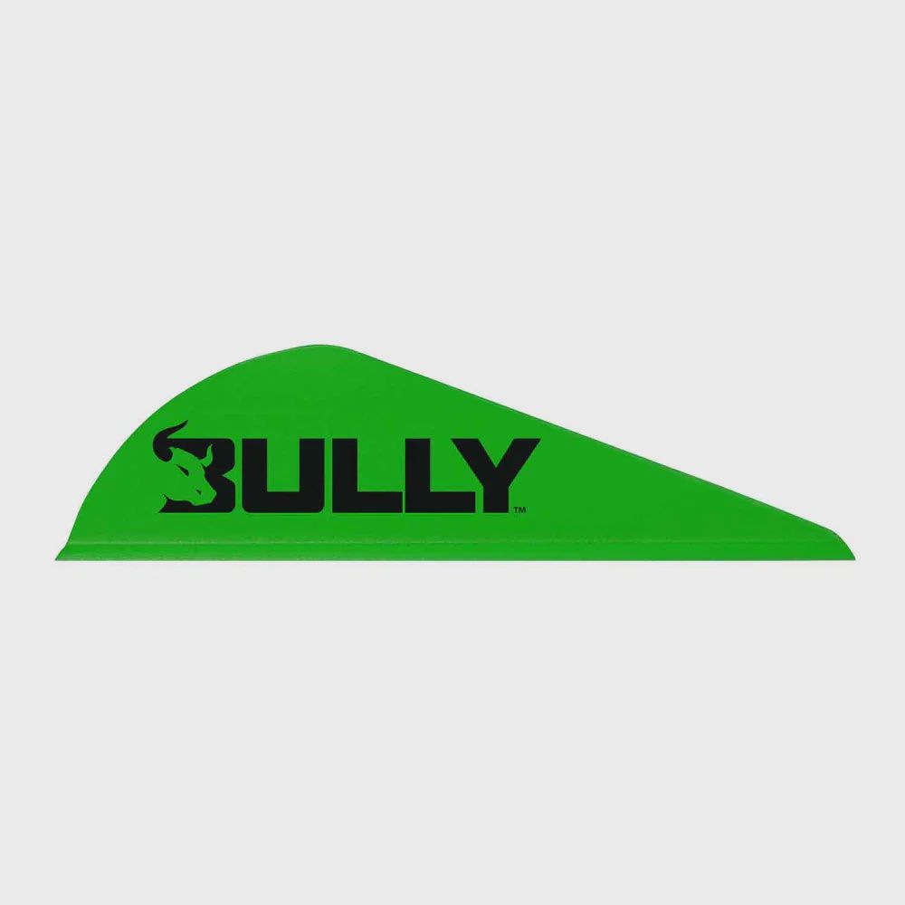 Easton 2" Bully Vane by Bohning (all Colours), Colour: Green, Size: 2.0"