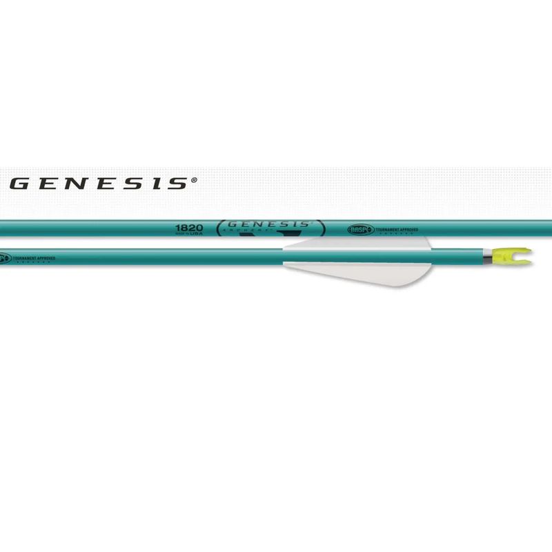 Easton XX75 Genesis Arrow (Complete)