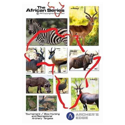 Target African Series Set (10)