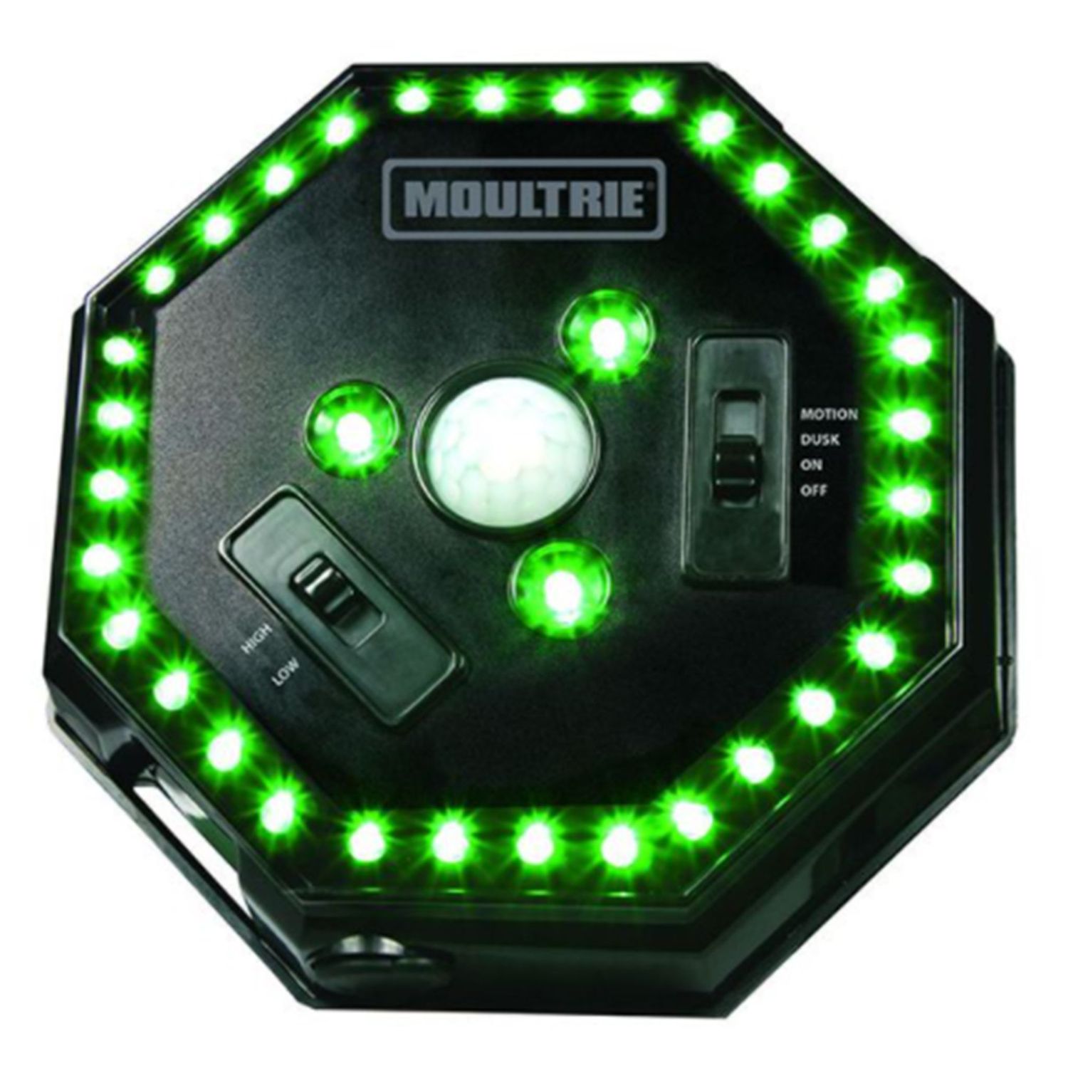 Moultrie Hogg Light