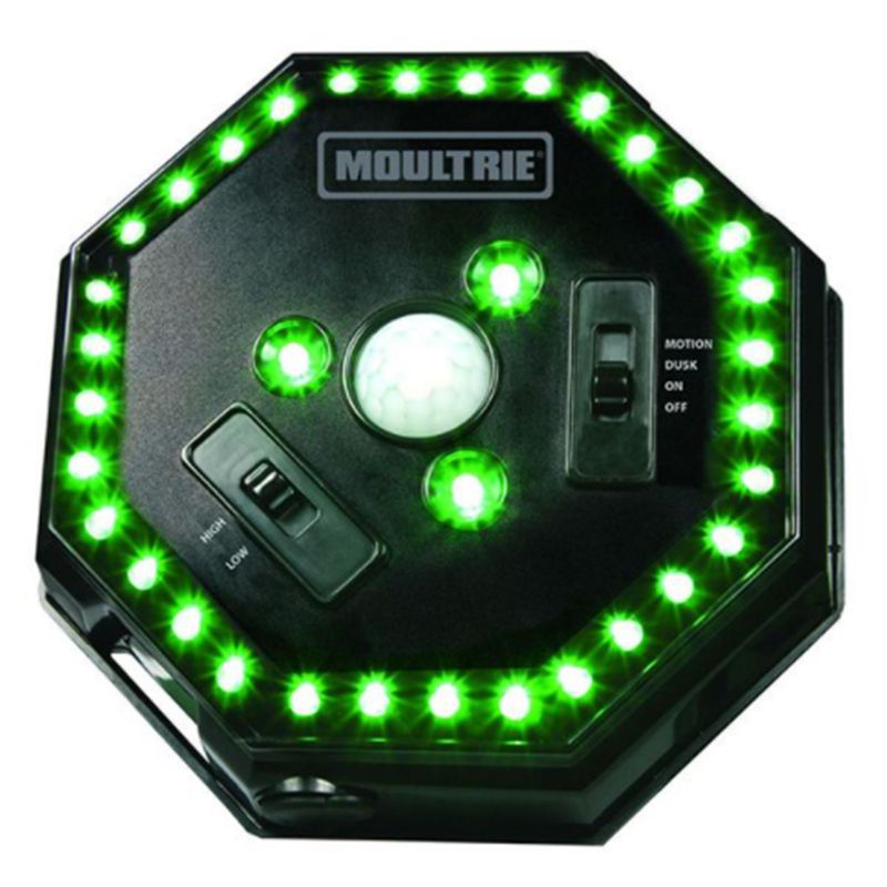 Moultrie Hogg Light