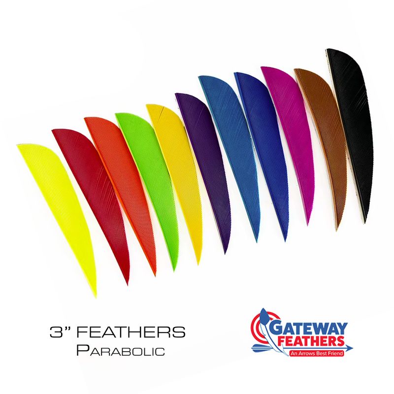 Gateway 3" Feathers - Parabolic Cut