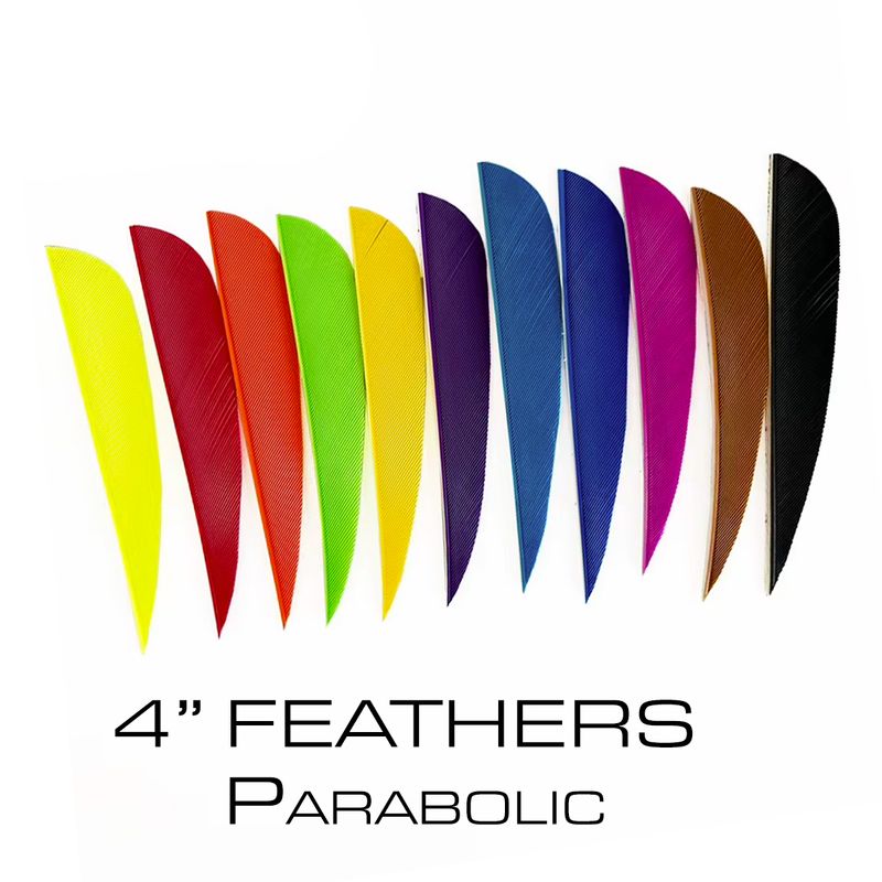 4" Feathers - Parabolic Cut