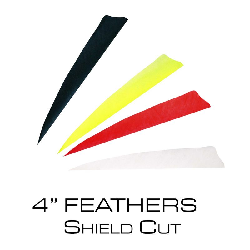 4" Feathers - Shield Cut