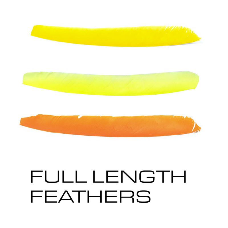 Full Length Feathers