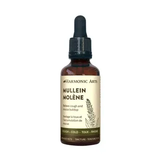 Harmonic Arts Mullein - 50ml