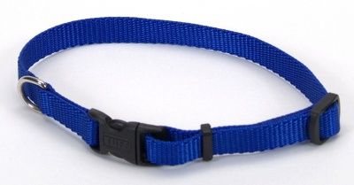 Coastal 8"-12" x 3/8" Nylon Collar - Blue