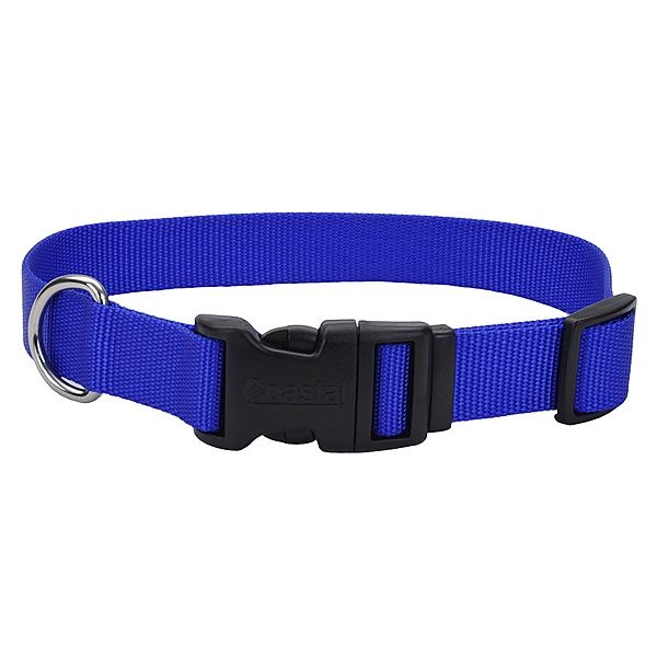 Coastal 14"-20" x 3/4" Nylon Collar - Blue