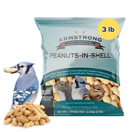 Armstrong Wild Bird Food Peanuts-In-Shell 3 Pounds - for Blue Jays Eastern Grey Squirrels and Eastern Chipmunks – Ideal for Outside Feeders