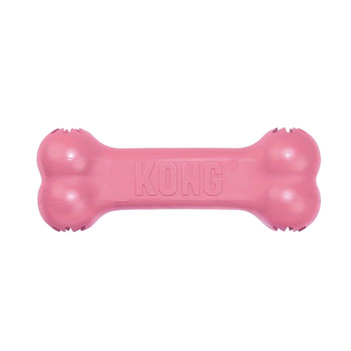 Kong Pink Goodie Bone - Small
