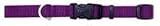 Coastal Pet Nylon Dog Collar Purple